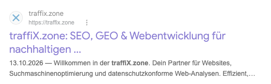 Google-Suchergebnis von traffix.zone, die Meta Description unter der Überschrift ist hervorgehoben